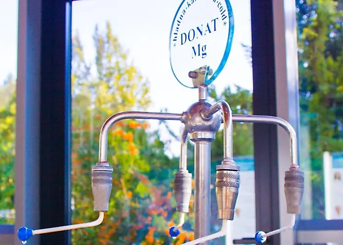 Baba Yaga 12 Lejlighed Rogaška Slatina